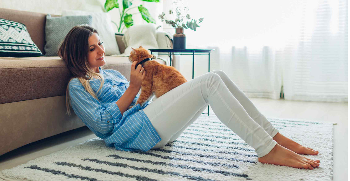 Chat à la maison